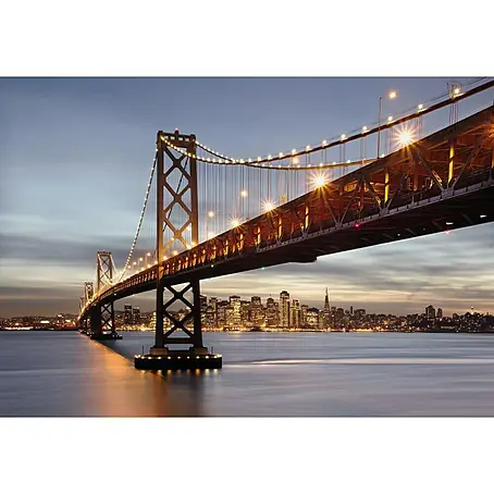 Komar  Foto tapeta Baybridge