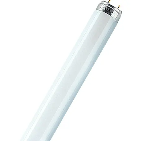Osram  Fluorescentna žarulja Daywhite