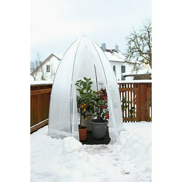 Šator za zaštitu od hladnoće za biljke - Ø x V: 1,4 x 1,8 m, Debljina folije: 150 g/m²