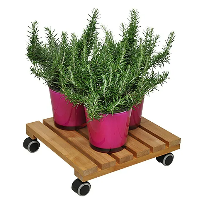 Gardol Podložak za biljke s kotačićima Classic Soft - Kvadratno, Joha, Maksimalna nosivost: 100 kg - Pogled sprijeda