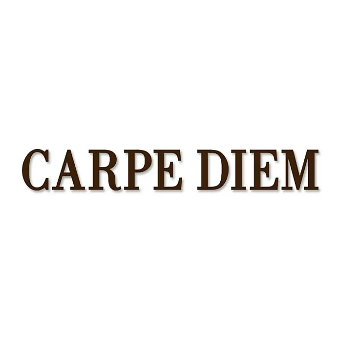 Wanddeko - Carpe Diem, Braun, 120 x 19 cm - Vorderansicht