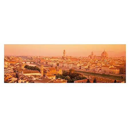 Komar  Foto tapeta Florence