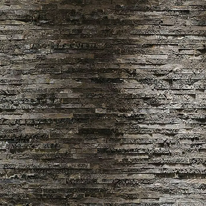 Komar Imagine Edition 3 - Stories Foto tapeta Kora kruške - 8 -dij., Š x V: 368 x 254 cm, Papir - Pogled sprijeda