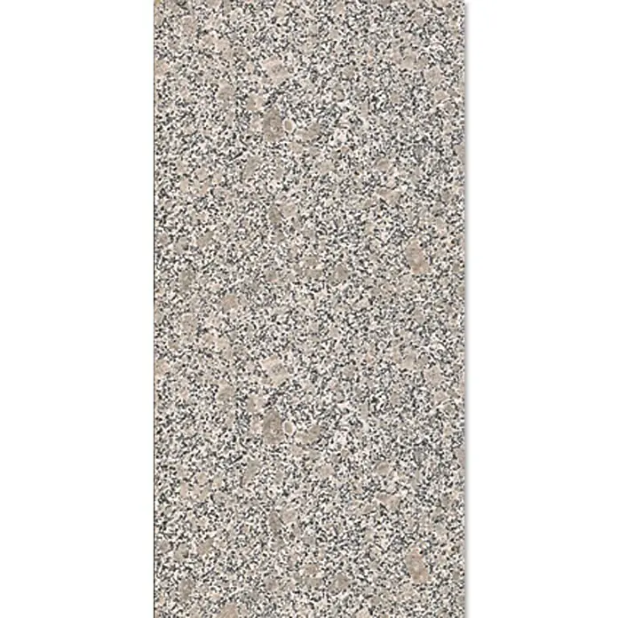 Pločica od prirodnog kamena Beta - 30,5 x 61 cm, Bež boje, Sjaj