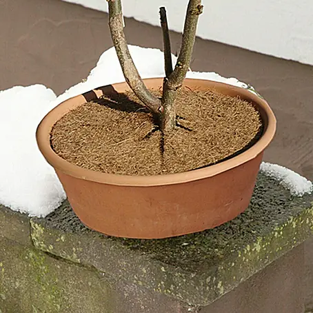Floraworld  Ploča za pokrivanje biljki od kokosa