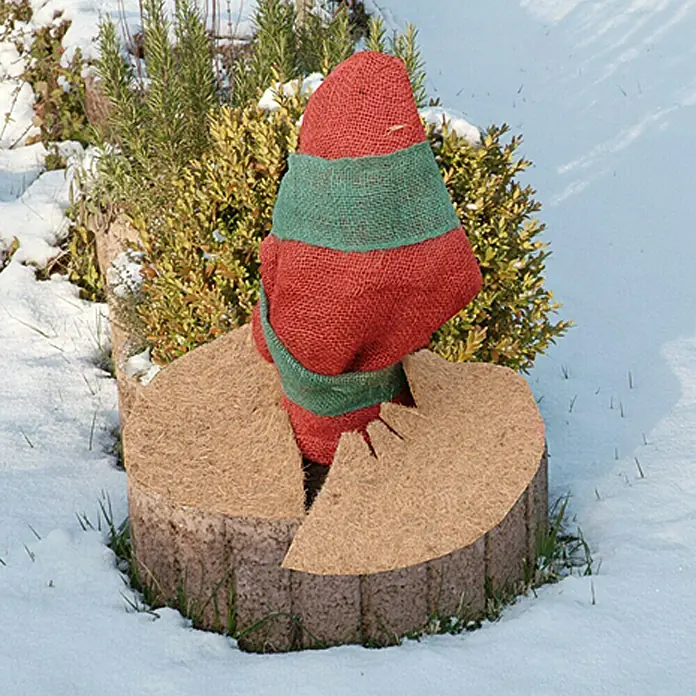 Floraworld Ploča za pokrivanje biljki od kokosa - 37 cm - Proizvod u upotrebi