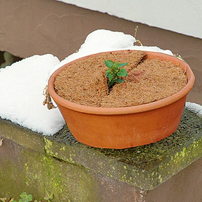 Floraworld Ploča za pokrivanje biljki od kokosa - 45 cm
