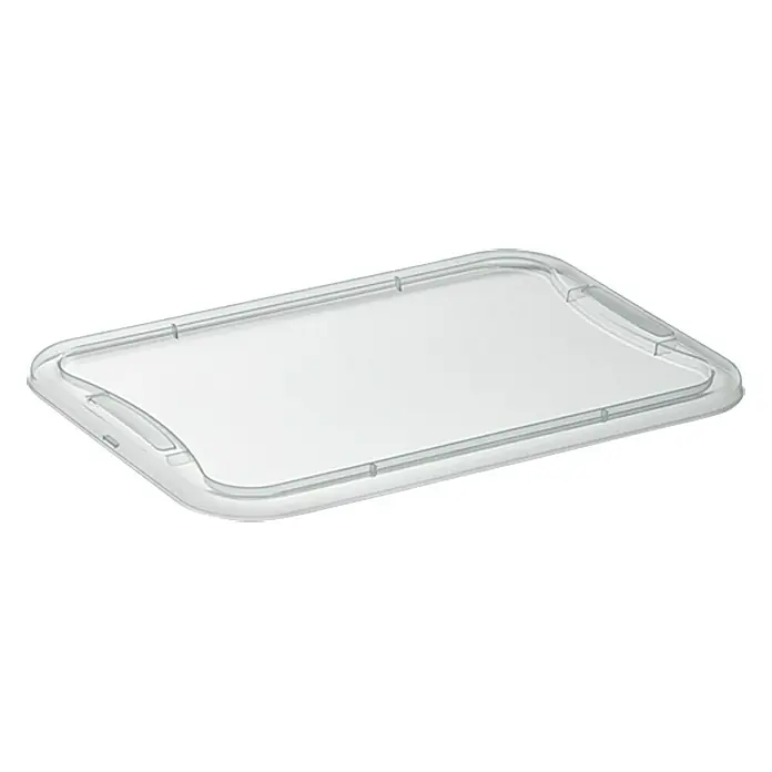 Regalux Poklopac za plastičnu kutiju XXS - D x Š: 25,6 x 18,1 cm, Namijenjeno za: Regalux Clear Box XXS