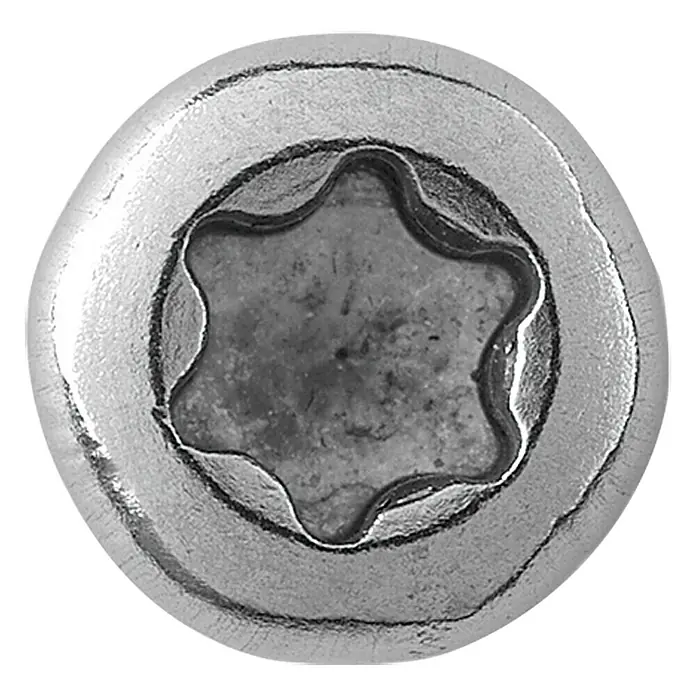 Profi Depot Vijci za H-ploče Turbo Drill - Promjer: 5 mm, Duljina: 50 mm, Plemeniti čelik, TX za TORX pogone, Upuštena glava, 100 kom