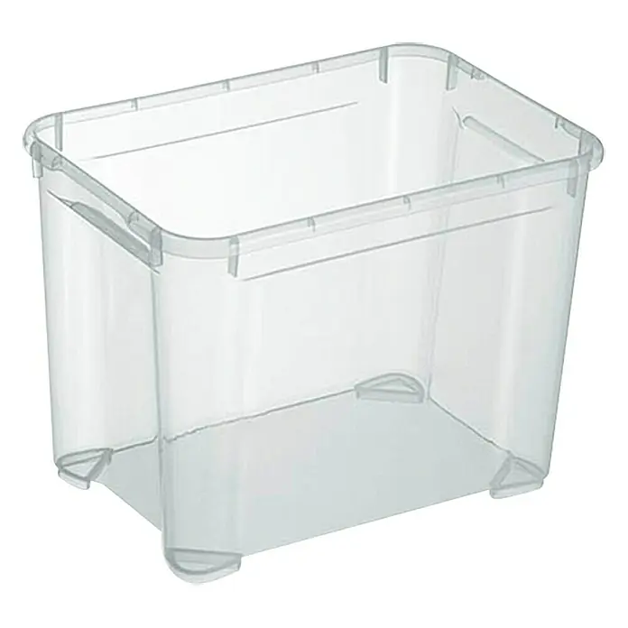 Regalux Prozirna kutija za skladištenje S - D x Š x V: 37,6 x 26 x 28,3 cm, 20 l, Prozirno