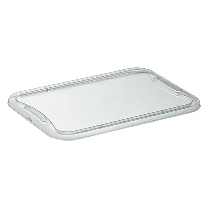 Regalux Poklopac za plastičnu kutiju XS/S - D x Š: 37,6 x 26 cm, Namijenjeno za: Regalux Clear Box XS/S