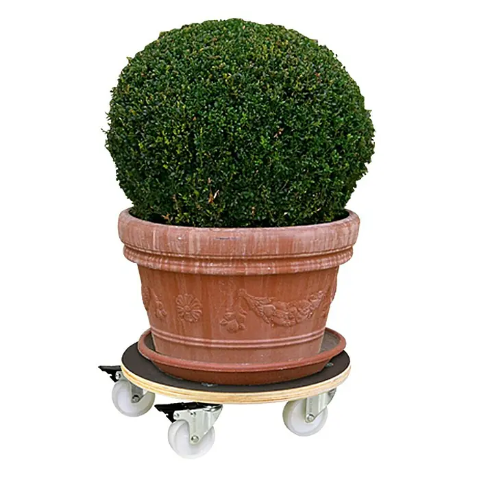 Gardol Podložak za biljke s kotačićima XXL Grip - 38 cm, Maksimalna nosivost: 250 kg - Pogled sprijeda