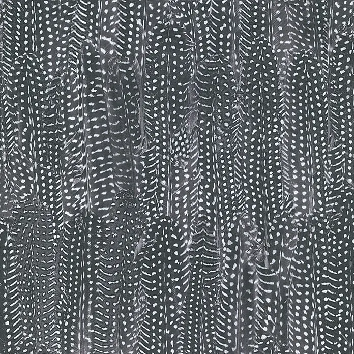 D-c-fix Velvet Edition Wildlife-Dekofolie Velvet Edition - 120 x 45 cm, Tabora, Graues Federkleid, Selbstklebend