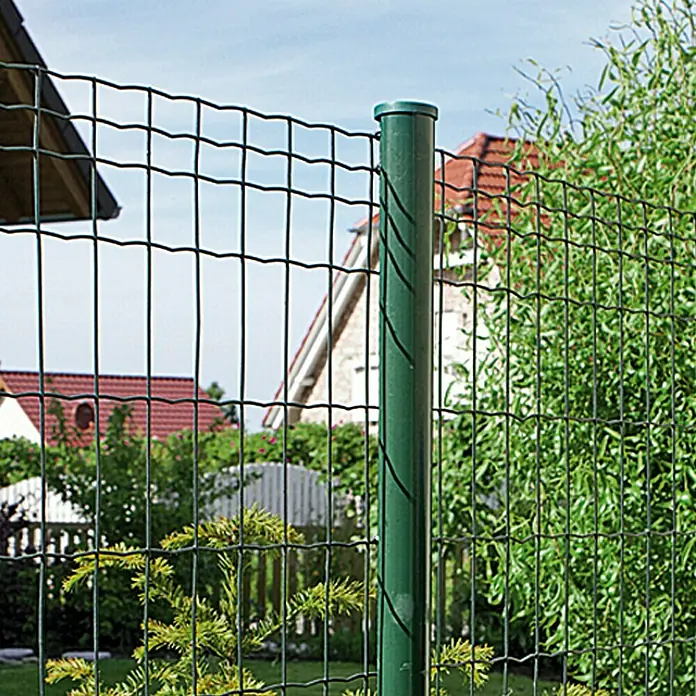 Hadra Maschendrahtzaun - 25 x 0,81 m, Grün
