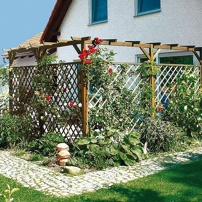Rešetkasta ograda za biljke penjačice - Š x V: 180 x 180 cm