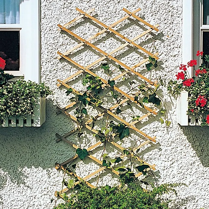 Rosenspalier - Natur, 100 x 200 cm