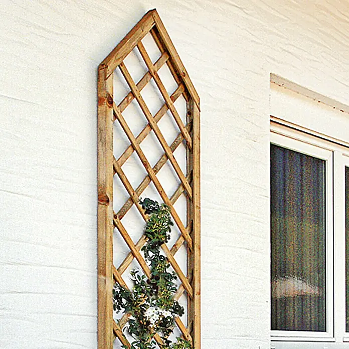 Rešetkasta ograda za biljke penjačice - Š x V: 60 x 210 cm