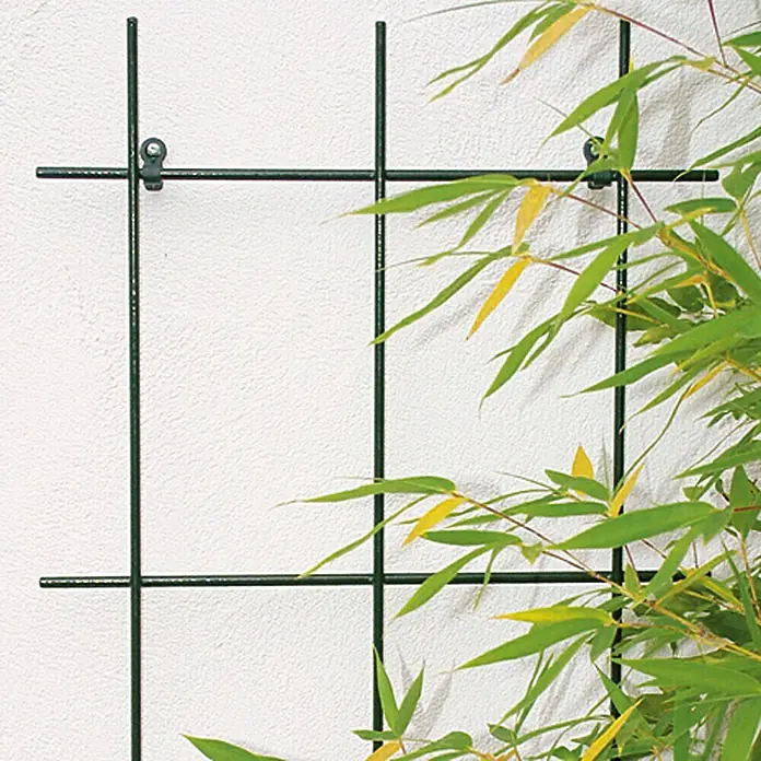 Bellissa Wandspalier - 45 x 150 cm, Anzahl Streben: 3 Stk., Durchmesser Strebe: 8 mm, Grün