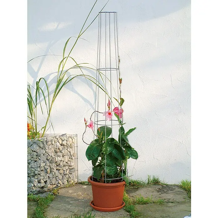 Bellissa Ranksäule Aktion - Höhe: 80 cm, Durchmesser: 28 cm
