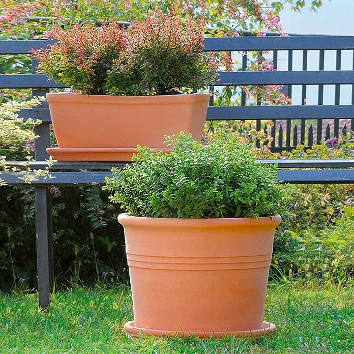 Deroma White Garden Pflanztopf Cylindro Bordata - Naturmaterialien, Terracotta