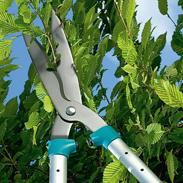 Gardena Comfort Ručne škare za živicu 700 T - Duljina oštrice: 25 cm, S protuprianjajućim premazom - Proizvod u upotrebi