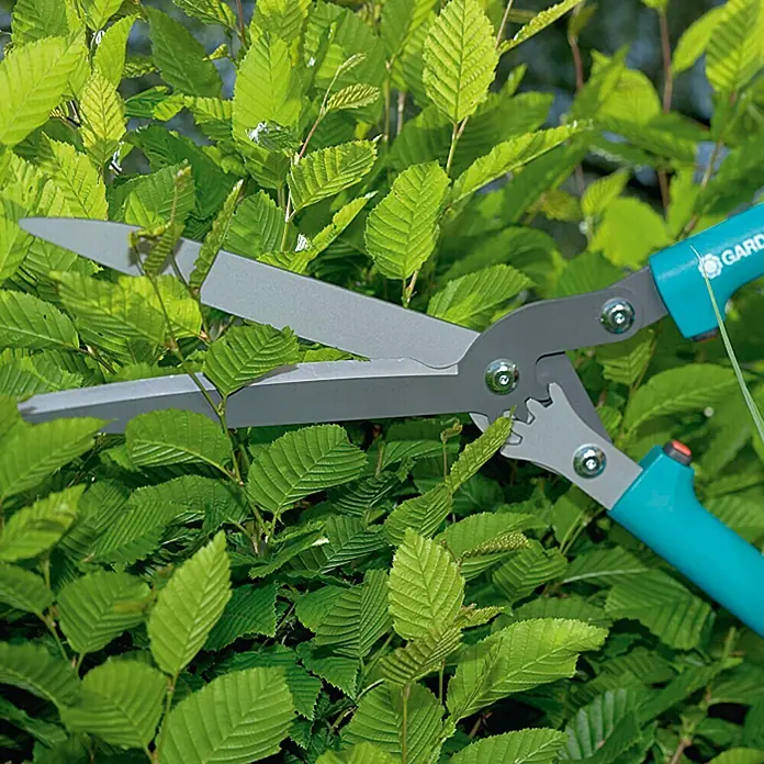 Gardena Comfort Škare za živicu sa zupčastim prijenosom - Duljina oštrice: 23 cm, S protuprianjajućim premazom - Proizvod u upotrebi