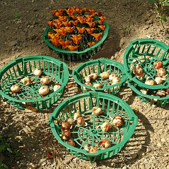 Floraworld Košarica za lukovice - Promjer: 22 cm, Plastika - Živopisni prikaz