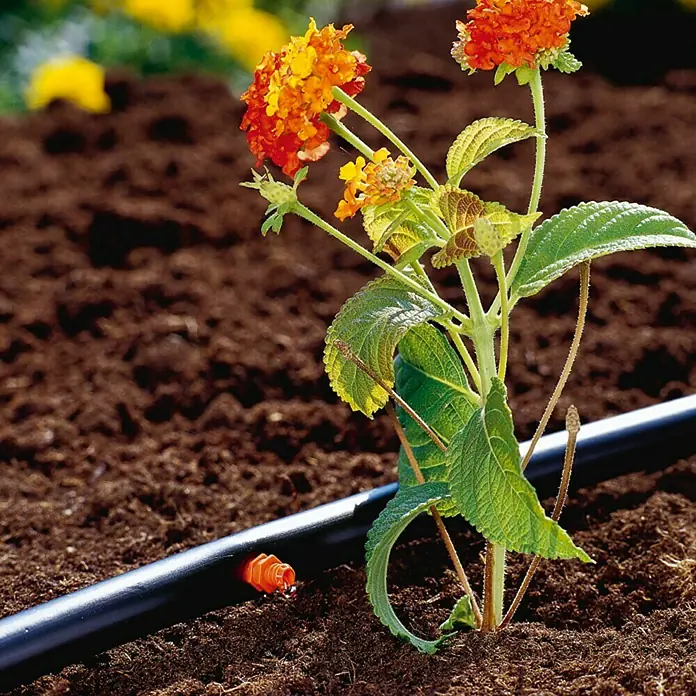 Gardena Micro-Drip Mlaznica za kapanje - 10 Kom., Maksimalni protok vode: 2 l/h, ³⁄₁₆″ - Proizvod u upotrebi