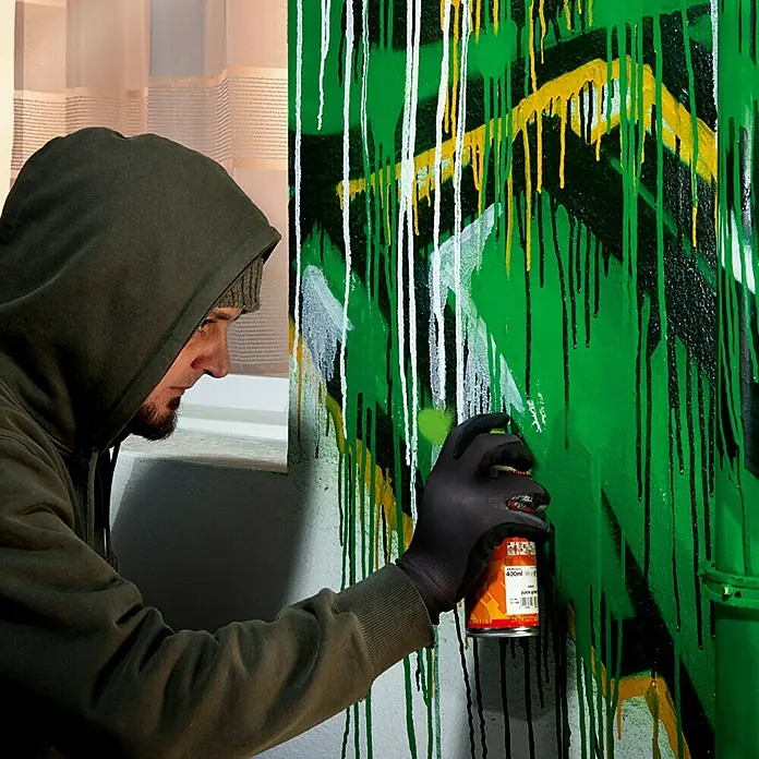Rico Graffiti-Entferner - 750 ml