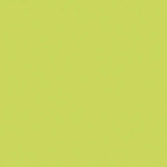 SCHÖNER WOHNEN-Farbe Home Buntlack - Limettengrün, 125 ml, Seidenmatt