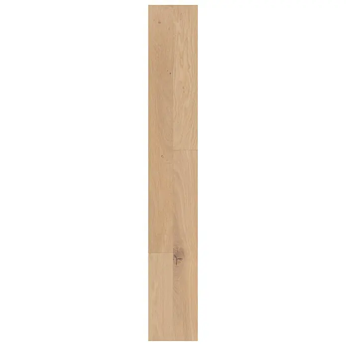 LOGOCLIC Sample Family Eiken Barga - 296 x 195 x 1 mm, 2-stroken