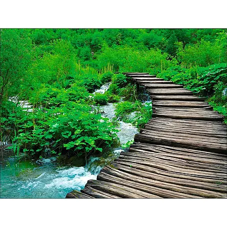 Slika na platnu Young Living