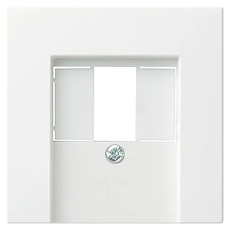 Gira System 55 TAE-Abdeckung
