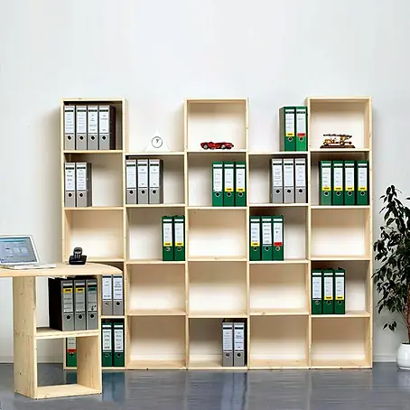 Regalux  Regaltür & Rückwand-Set