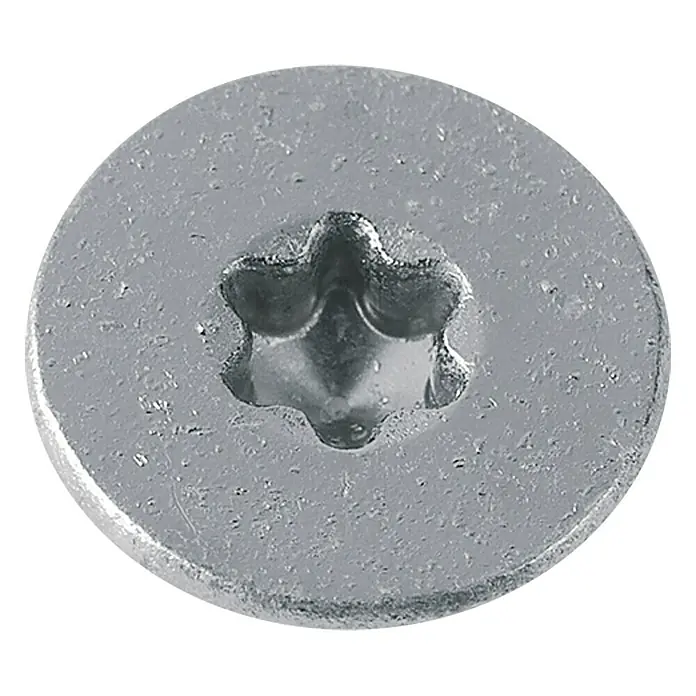 Profi Depot Vijak za ivericu A2 - Promjer: 6 mm, Duljina: 100 mm, Plemeniti čelik, TX za TORX pogone, Djelomični navoj, 50 kom