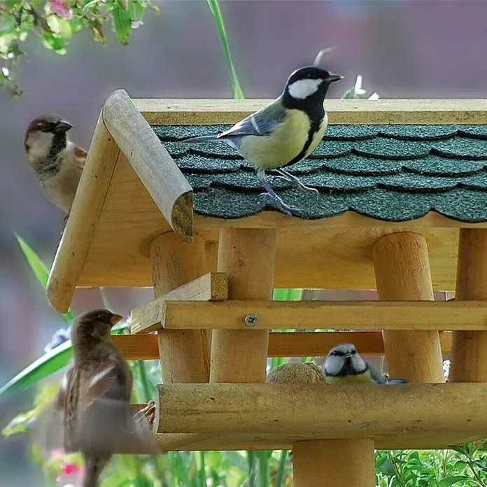 Dobar Vogelfutterhaus mit Ständer - 37 x 28 x 101 cm, Vogelhausständer - Anwendungsbeispiel