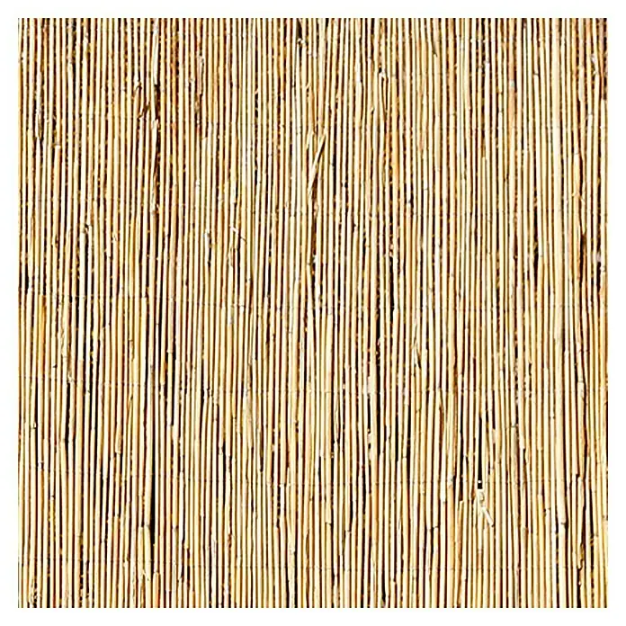 Gardol Schilfrohrmatte - 600 x 100 cm, Geeignet für: Sicht- und Windschutz