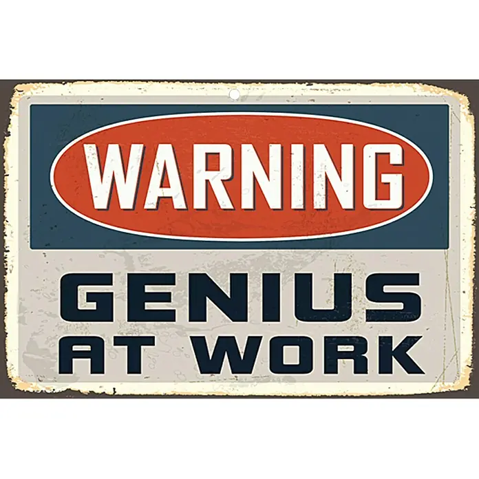 Blechschild - Antik/Vintage/Retro, 45 x 30 cm, Genius at work - Vorderansicht