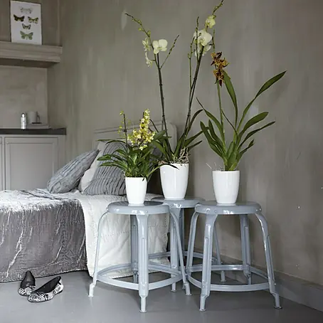 Elho Brussels Diamond Orchideentopf High