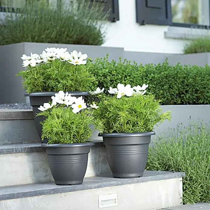 Elho Tegla za cvijeće Provence Campana - Maks. vanjski promjer: 40 cm, Visina: 31 cm, Plastika, Crne boje - Pogled sprijeda