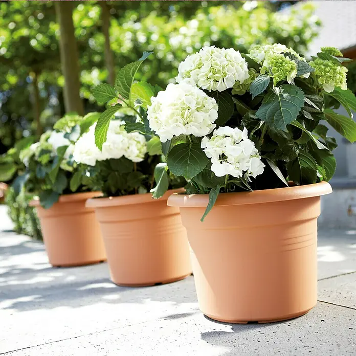 Elho Tegla za cvijeće Green Basics Cilinder - Maks. vanjski promjer: 55 cm, Visina: 41 cm, Plastika, terakota - Pogled sprijeda