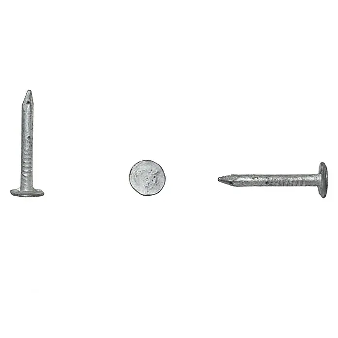 Sarei Pappnägel - 50 Stk., Durchmesser: 2,8 mm, Länge: 25 mm - Vorderansicht