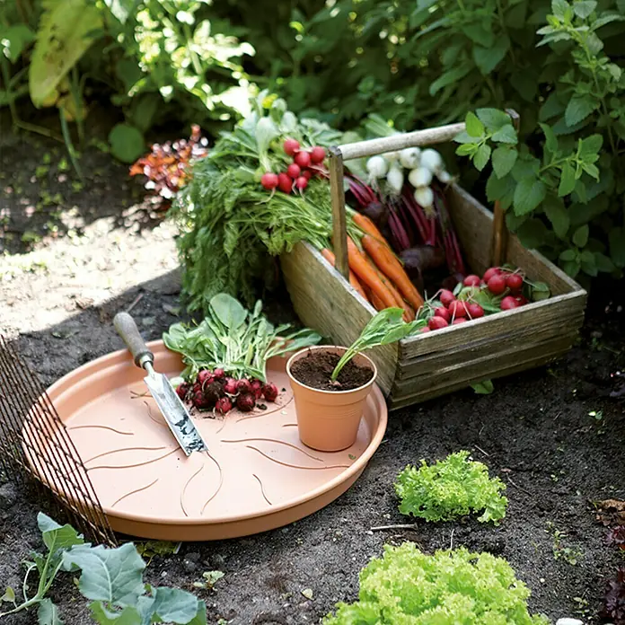 Elho Green Basics Podložak za teglu za cvijeće - Vanjska dimenzija (ø x V): 29 x 4 cm, Plastika, terakota - Pogled sprijeda