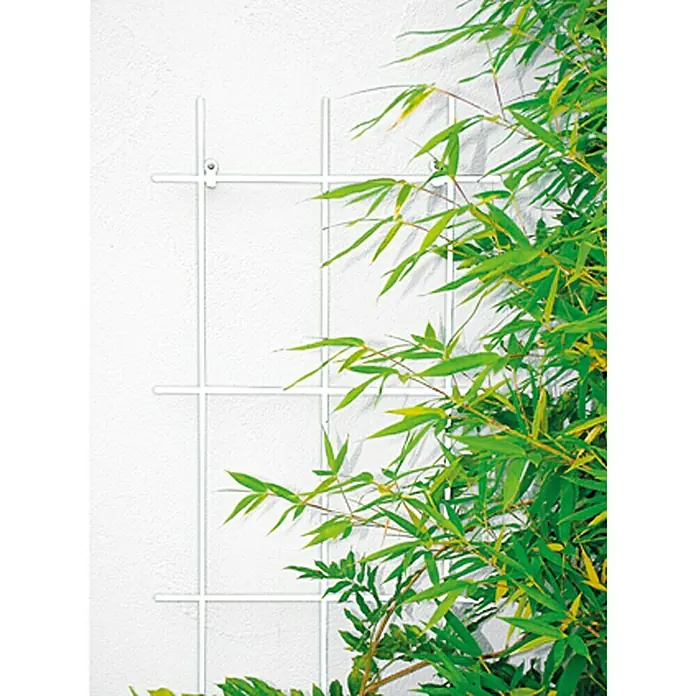 Bellissa Wandspalier - 45 x 150 cm, Anzahl Streben: 3 Stk., Durchmesser Strebe: 8 mm, Weiß - Stimmungsaufnahme