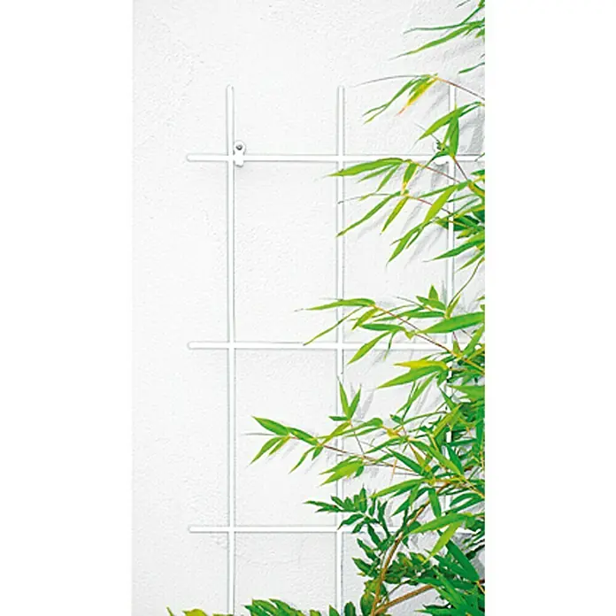 Bellissa Wandspalier - 60 x 150 cm, Anzahl Streben: 4 Stk., Durchmesser Strebe: 8 mm, Weiß - Stimmungsaufnahme