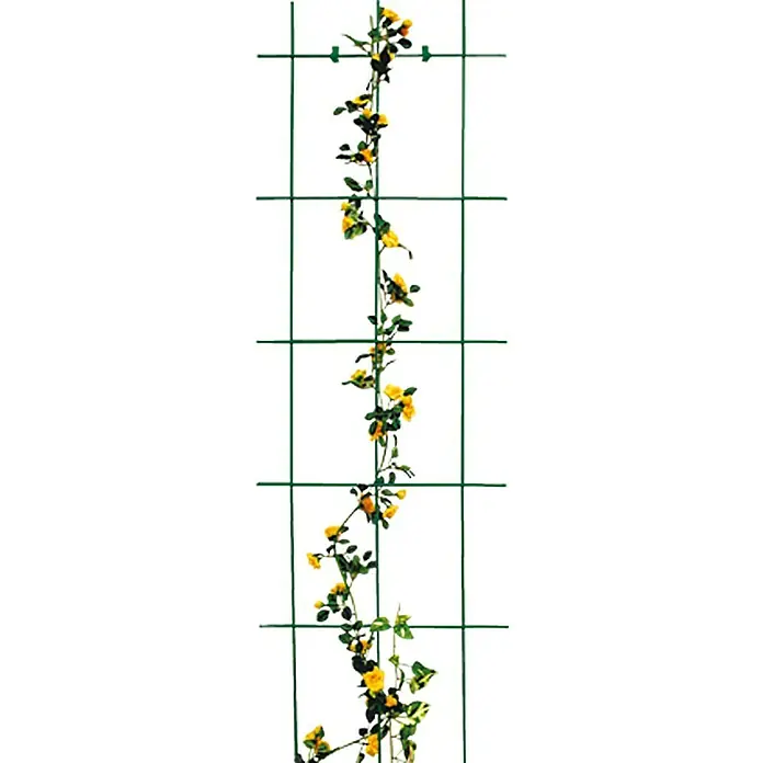 Bellissa Wandspalier - 45 x 150 cm, Materialstärke: 5 mm, Anzahl Streben: 3 Stk., Grün - Stimmungsaufnahme