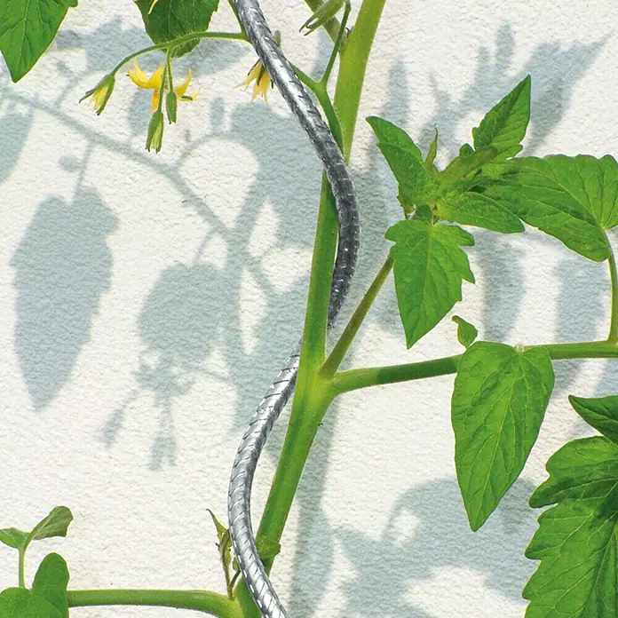 Bellissa Tomatenspirale - Durchmesser: 77 mm - Stimmungsaufnahme
