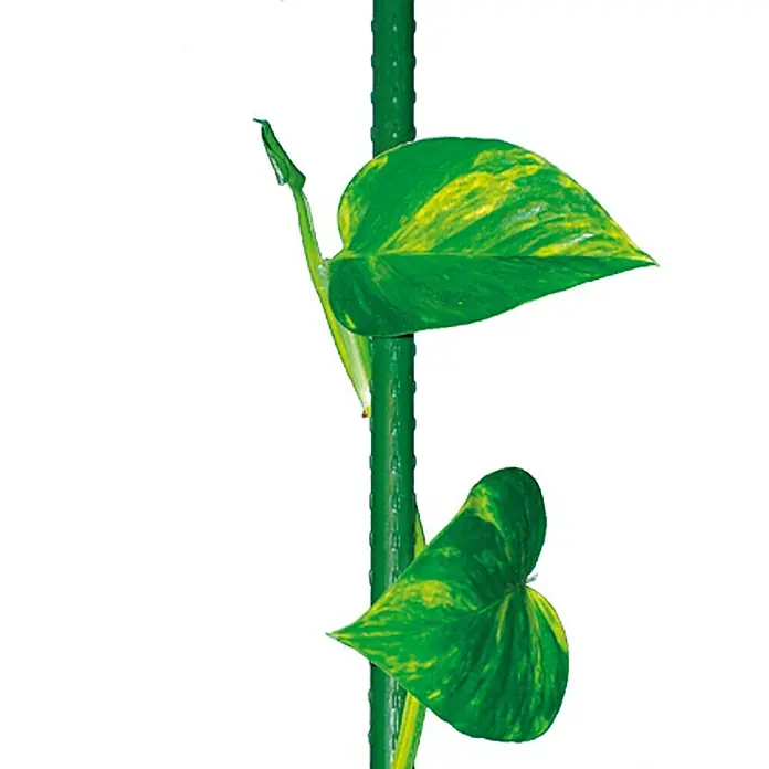 Bellissa Pflanzenstab - Länge: 150 cm, Durchmesser: 11 mm, Stahl