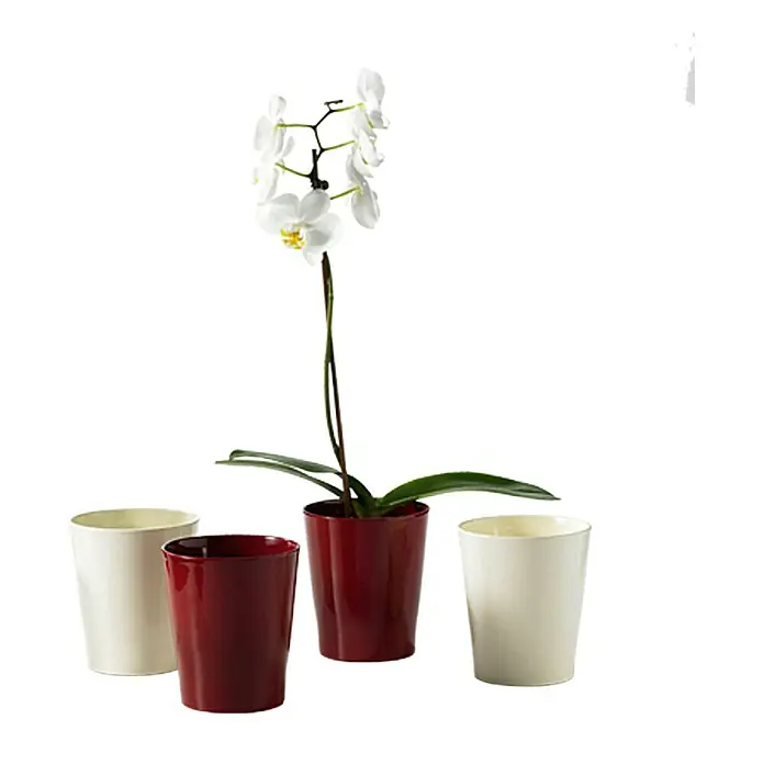 SK Orchideentopf Merina - Außenmaß (Ø x H): 14 x 15 cm, Keramik, Vanilla, Glänzend - Stimmungsaufnahme