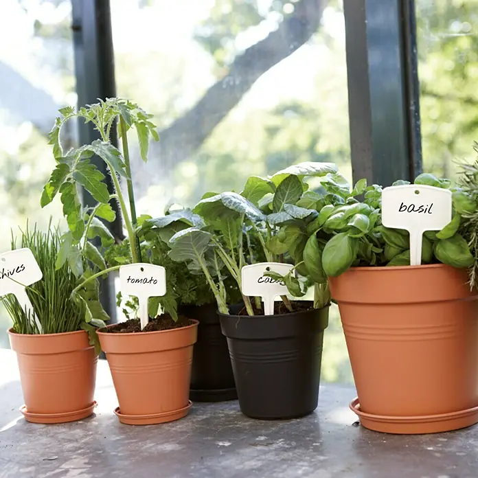 Elho Green Basics Blumentopf-Untersetzer - Außenmaß (Ø x H): 34 x 5 cm, Kunststoff, Schwarz - Vorderansicht